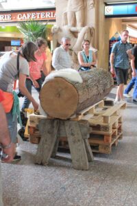 2012_i215
